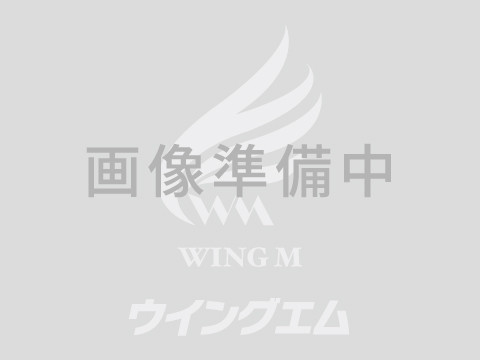 いすゞ フォワード 2PG-FRR90S4 2WD