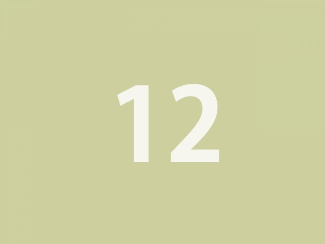 日野 セレガR  4WD