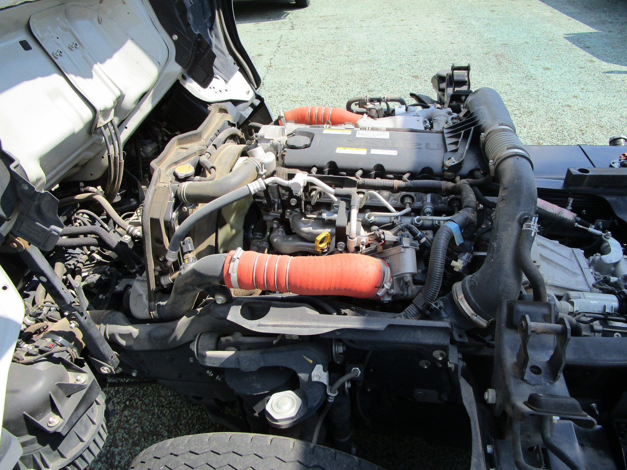 いすゞ エルフ 2RG-NKR88ADの写真14