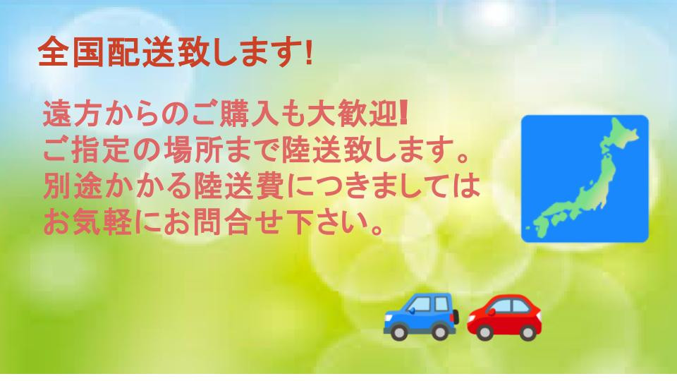 いすゞ エルフ TDG-NMS85AN(4WD)の写真27