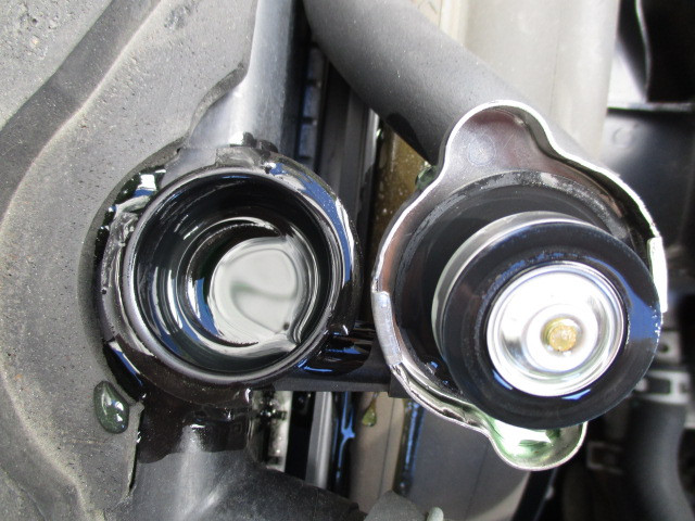 いすゞ エルフ 2RG-NJR88A(2WD)の写真11