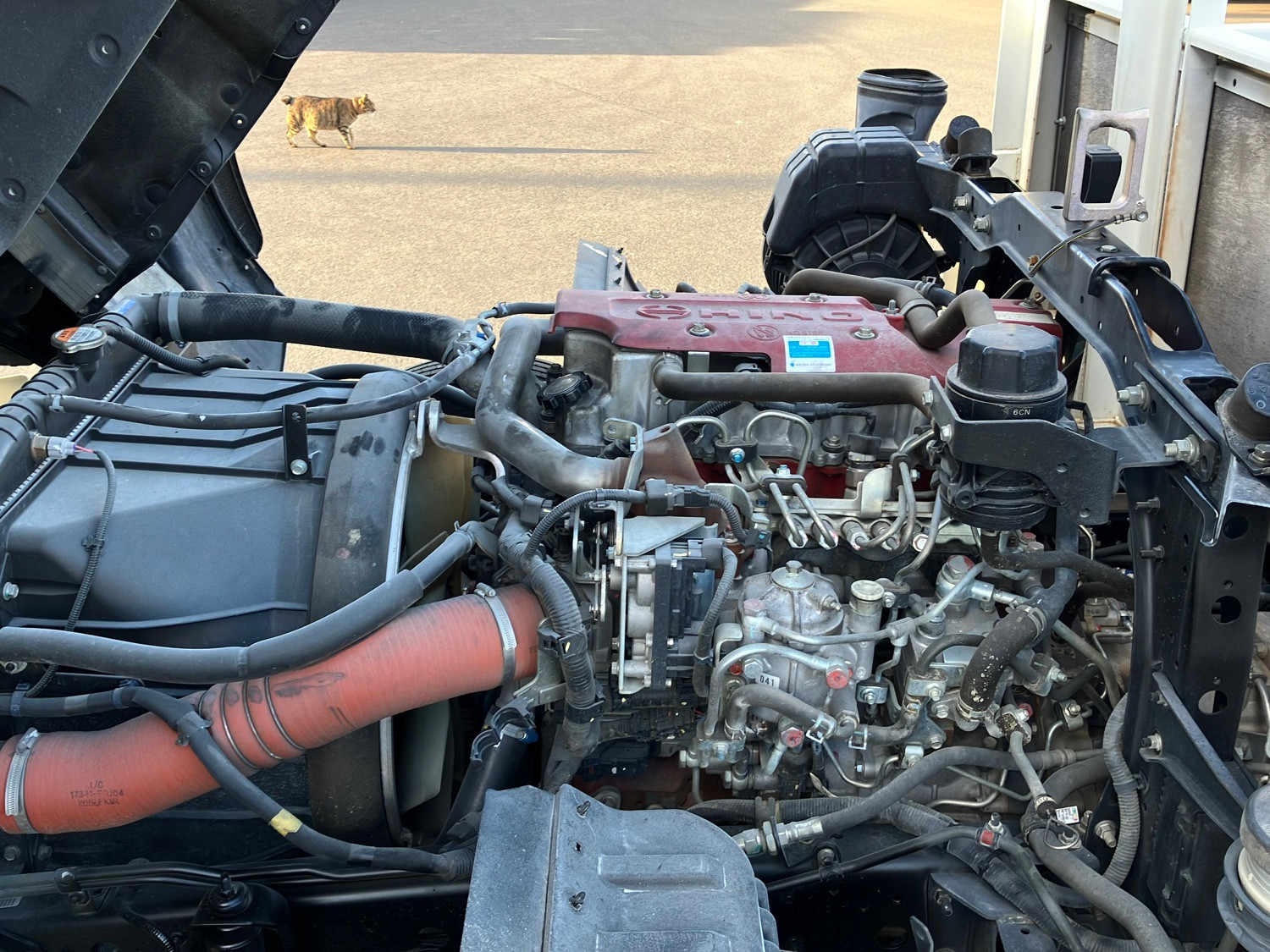 日野 レンジャー TKG-FD9JLAA(2WD)の写真14