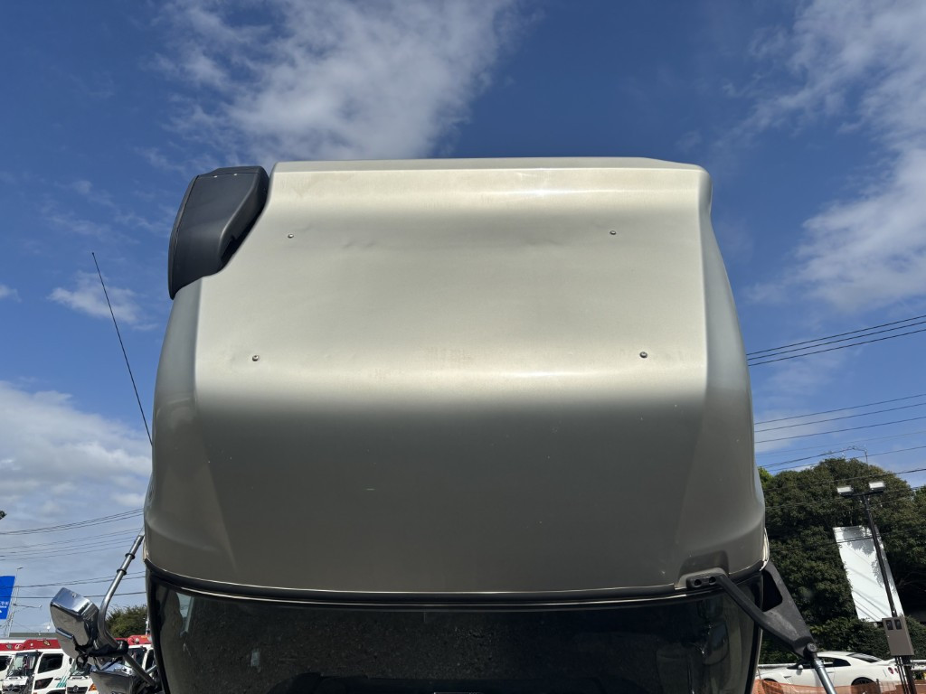 日野 プロフィア 2DG-FW1AHJ(8x4)の写真39