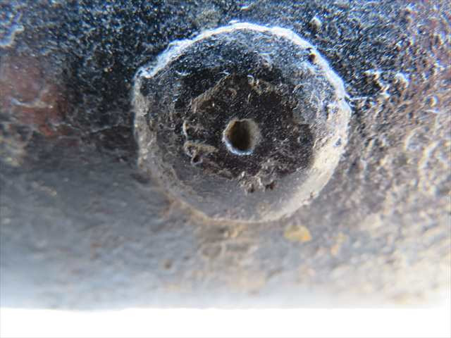 管理番号3614|いすゞ エルフ PKG-NPR75N(2WD)の写真11