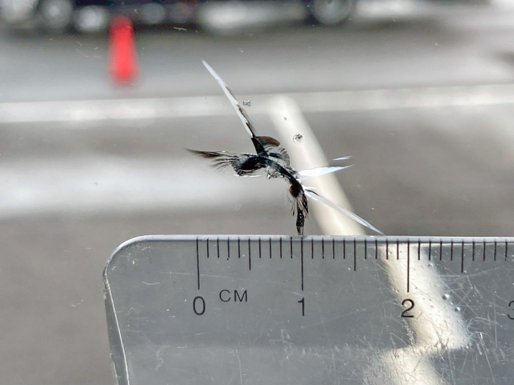 フロントガラスの運転席側下部に飛び石跡があります。|日野 プロフィア 2DG-FW1AHCの写真18