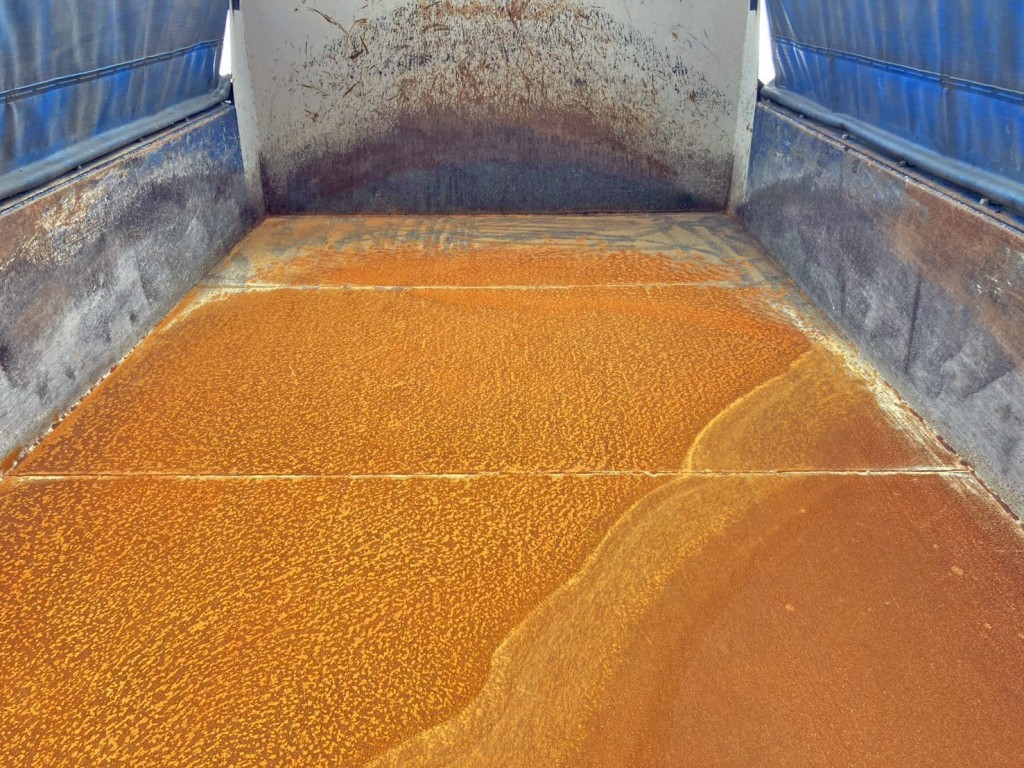 三菱 ファイター 2KG-FK72FYの写真10