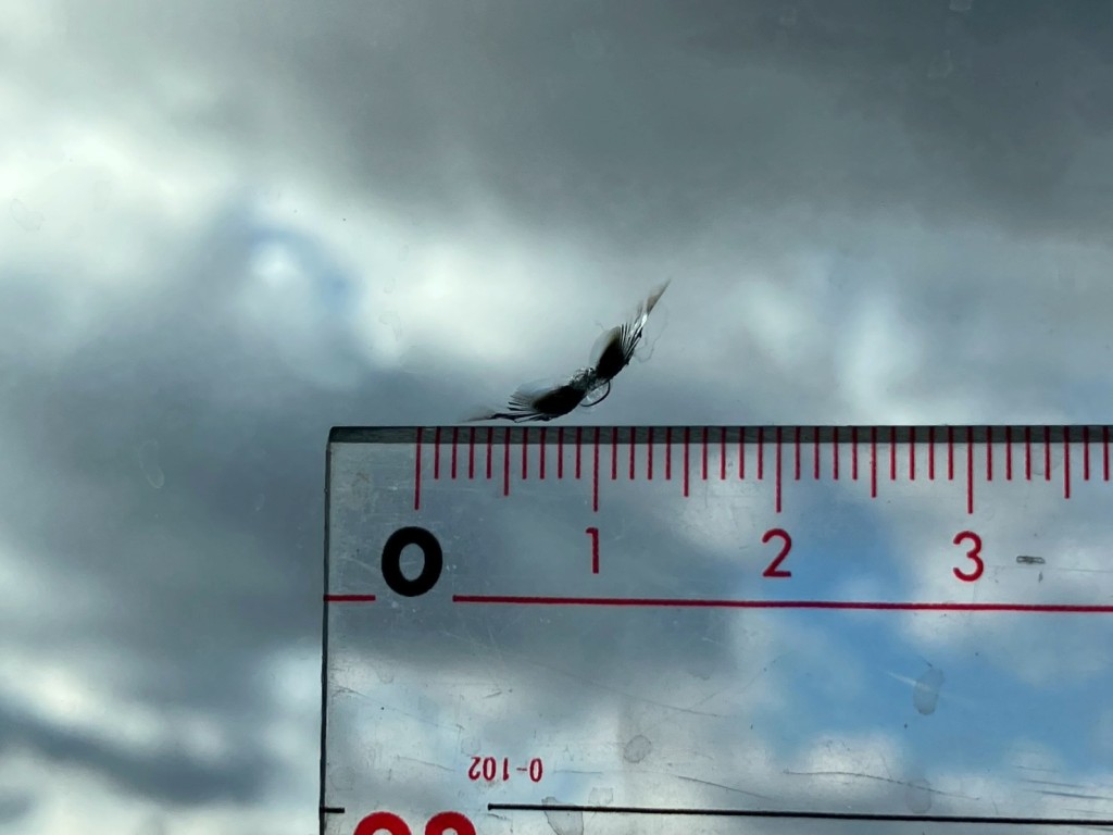 フロントガラスに飛び石・割れがあります。|日野 プロフィア QPG-FR1EXEGの写真24