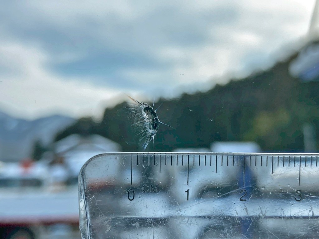 フロントガラスの運転席側上部に飛び石跡があります。|日野 プロフィア 2DG-FS1AGAの写真30