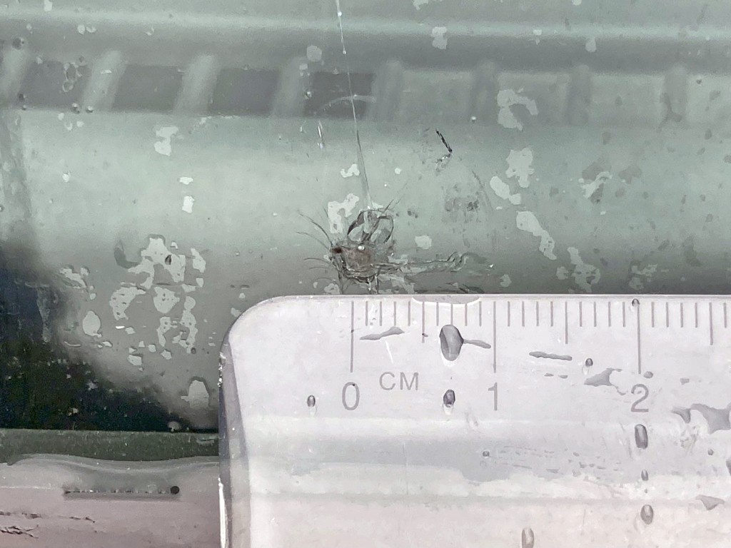 フロントガラスの運転席側下部に飛び石跡があります。|日野 レンジャー 2PG-FD2ABA(2WD)の写真16