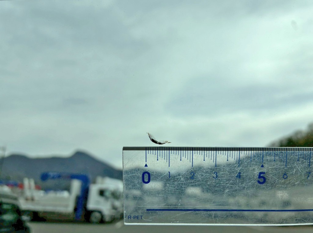 フロントガラスの中央に飛び石跡があります。|日野 デュトロ 2KG-XZU722M(2WD)の写真14