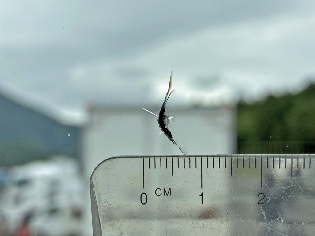 フロントガラスの中央正面に飛び石跡があります。|三菱 ファイター 2KG-FK64F(2WD)の写真17