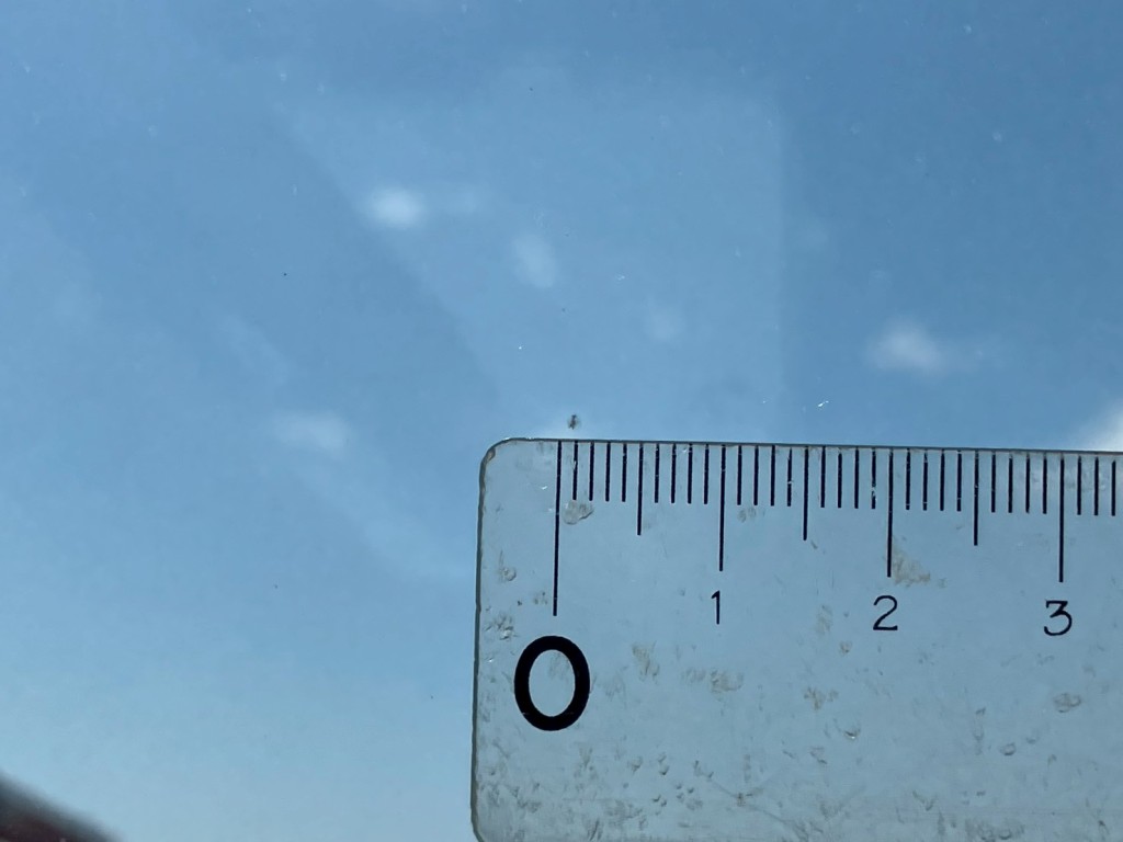 いすゞ エルフ 2RG-NPR88AM(2WD)の写真16