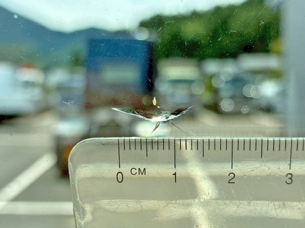 フロントガラスの運転席側下部に飛び石跡が付いています。|UDトラックス 2PG-CG5CAの写真30
