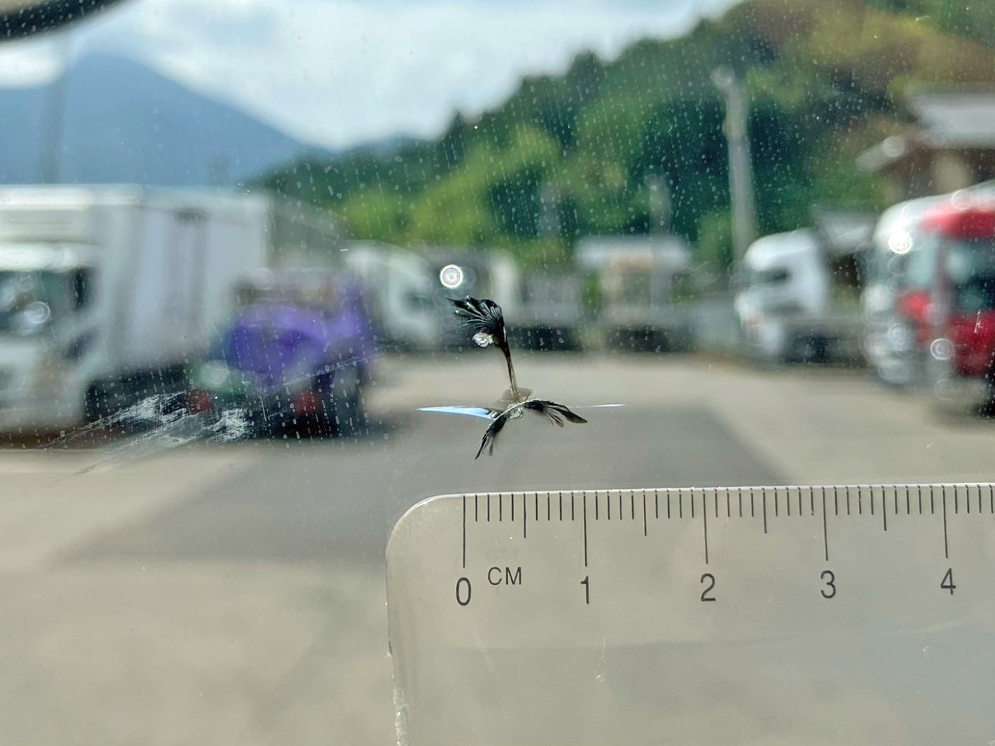 フロントガラス助手席側正面に飛び石跡があります。|三菱 ファイター TKG-FK64F(2WD)の写真32