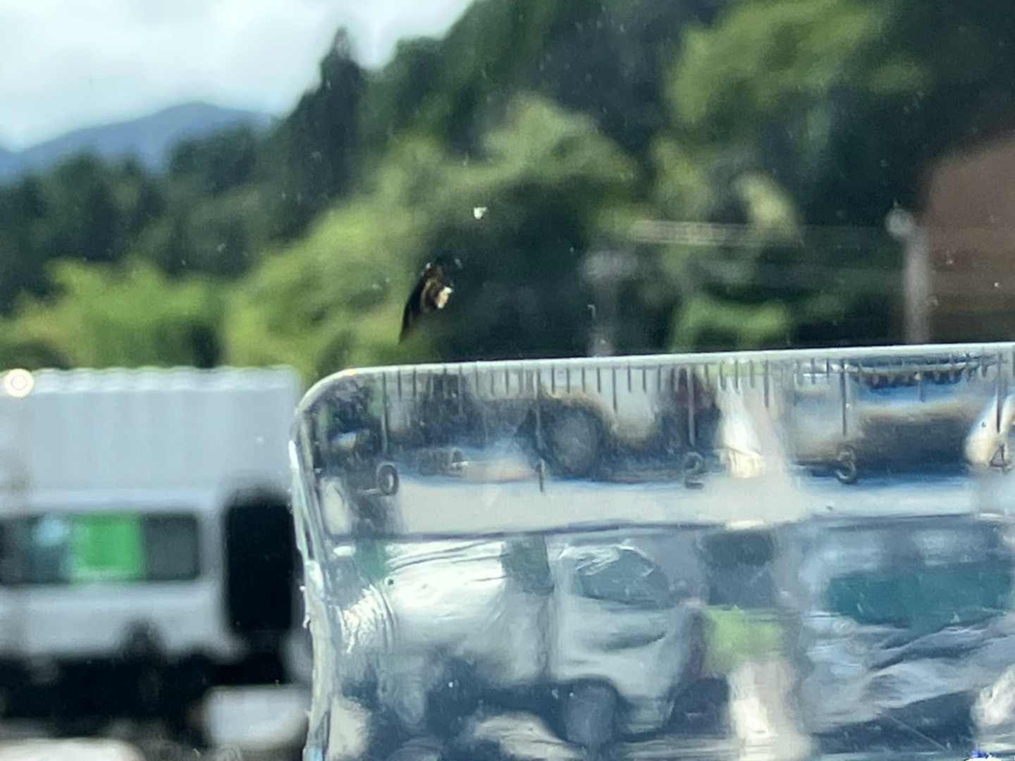 フロントガラス助手席側中央に飛び石跡があります。|日野 プロフィア 2DG-FR1AHGの写真28