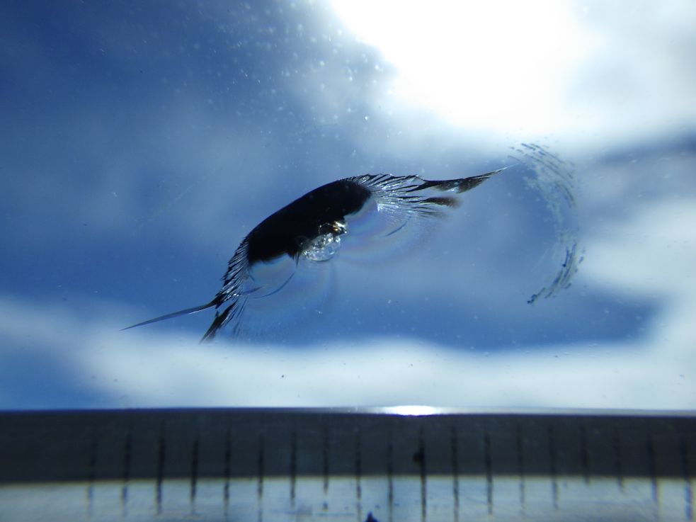 フロントガラスに飛び石キズがあります。|日野 デュトロ 2KG-XZU722M(2WD)の写真17