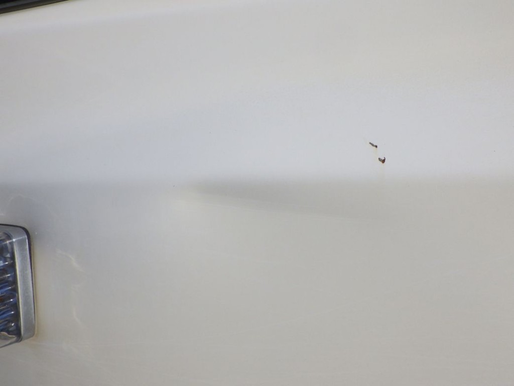 助手席側ドアにキズ・ヘコミがあります。|日野 プロフィア QKG-FS1EKDAの写真22