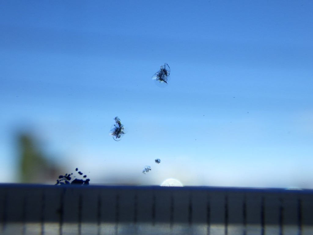 フロントガラスに飛び石キズがあります。|三菱 ファイター 2KG-FK62F(2WD)の写真12