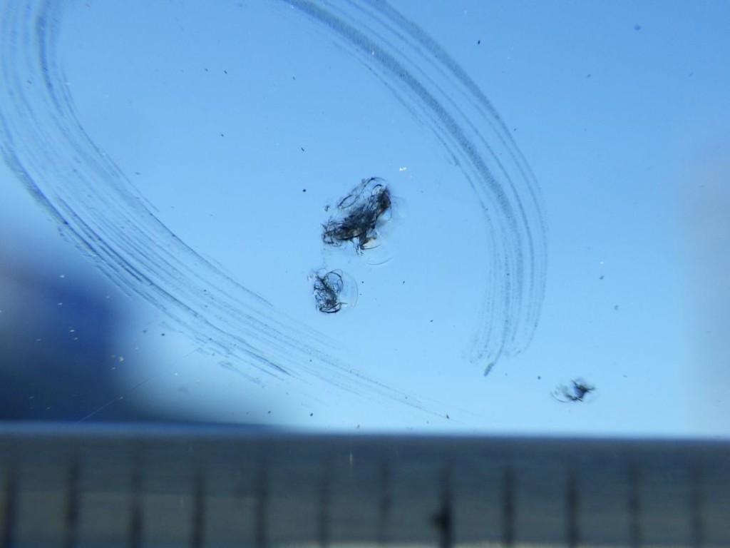 フロントガラスに小キズがあります。|いすゞ フォワード TKG-FRR90S2(2WD)の写真13