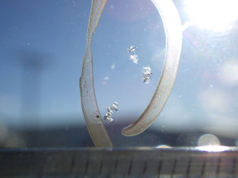 フロントガラスに飛び石キズがあります。|日野 プロフィア 2DG-FW1AHGの写真13