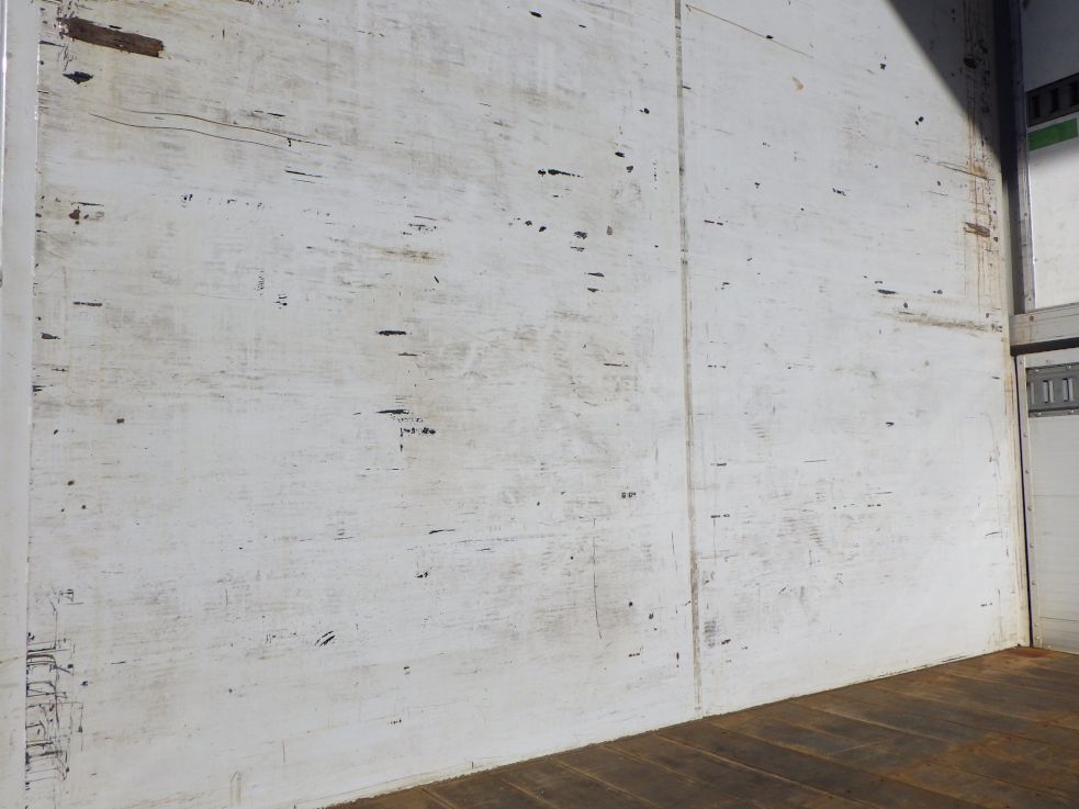 プロテクター裏側にキズ・サビ・ヘコミがあります。|日野 プロフィア 2DG-FW1AHGの写真31