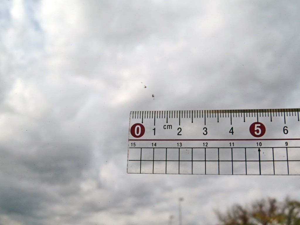 UDトラックス クオン 2PG-GK5AABの写真19