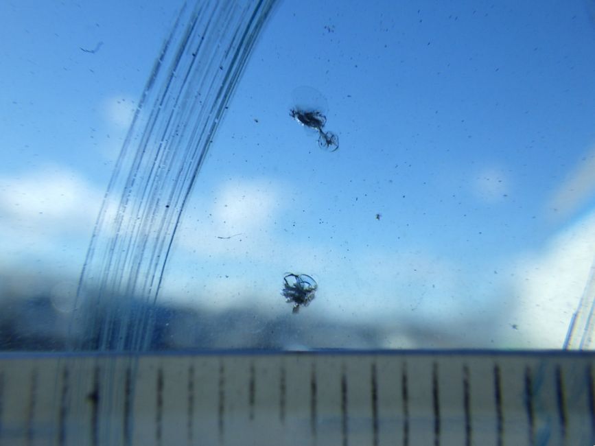 フロントガラスに小キズがあります。|日野 レンジャー BKG-FD7JLYA(2WD)の写真19