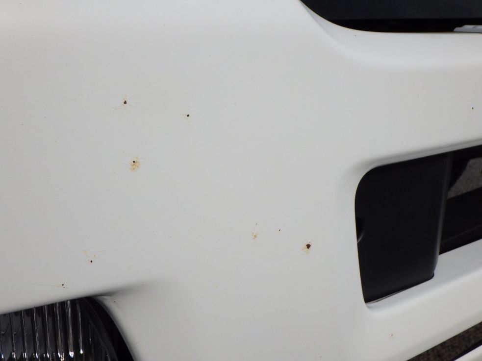 フロントバンパーに飛び石キズがあります。|いすゞ フォワード 2PG-FRR90S1(2WD)の写真27