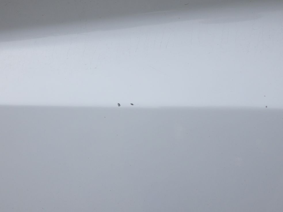 助手席側ドアに小キズがあります。|三菱 スーパーグレート 2PG-FV70HYの写真22