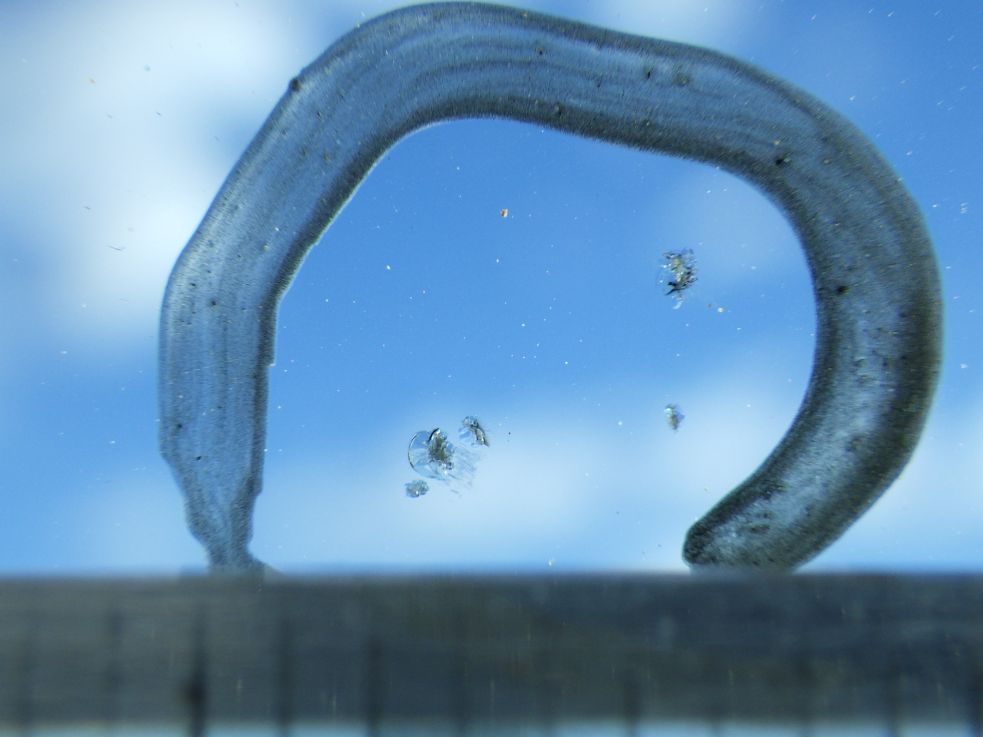 フロントガラスに小キズがあります。|ニッサンディーゼル コンドル PB-MK36A(2WD)の写真13