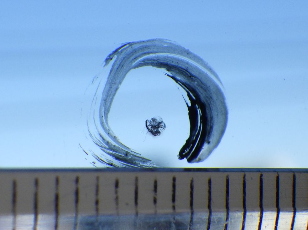 フロントガラスに飛び石キズがあります。|三菱 キャンター 2RG-FEAV0(2WD)の写真15