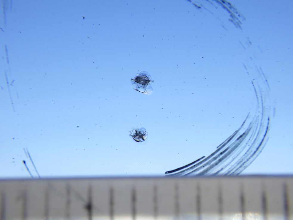 フロントガラスに飛び石キズがあります。|いすゞ ギガ 2PG-CYZ77CMの写真21