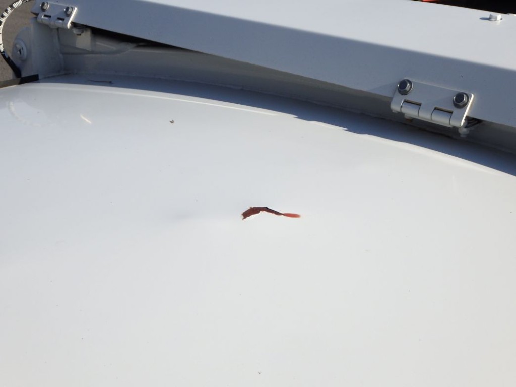 ボディー天井にサビ・凸があります。|いすゞ エルフ 2RG-NMR88AN(2WD)の写真26