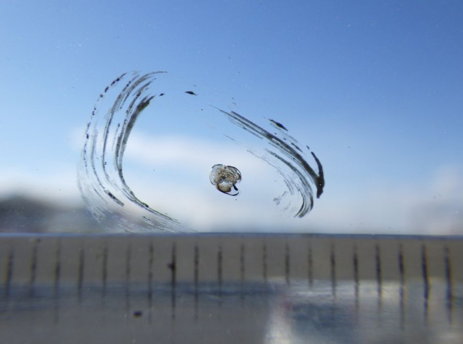 日野 プロフィア QPG-SH1EDDGの写真16