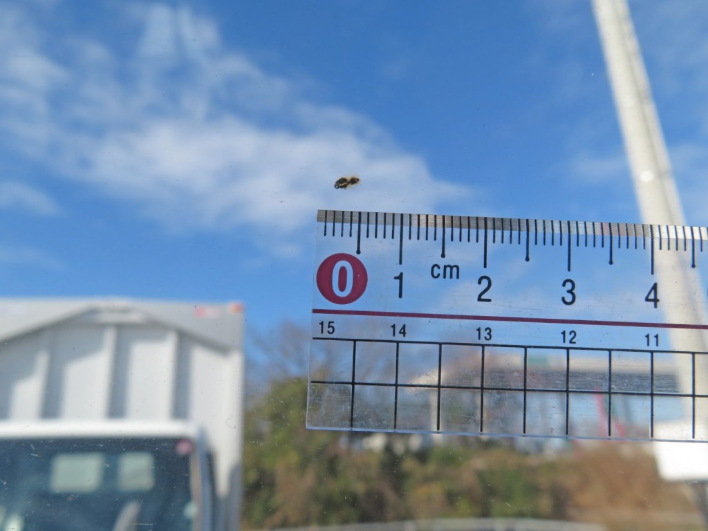 いすゞ フォワード TKG-FRR90S2(2WD)の写真17