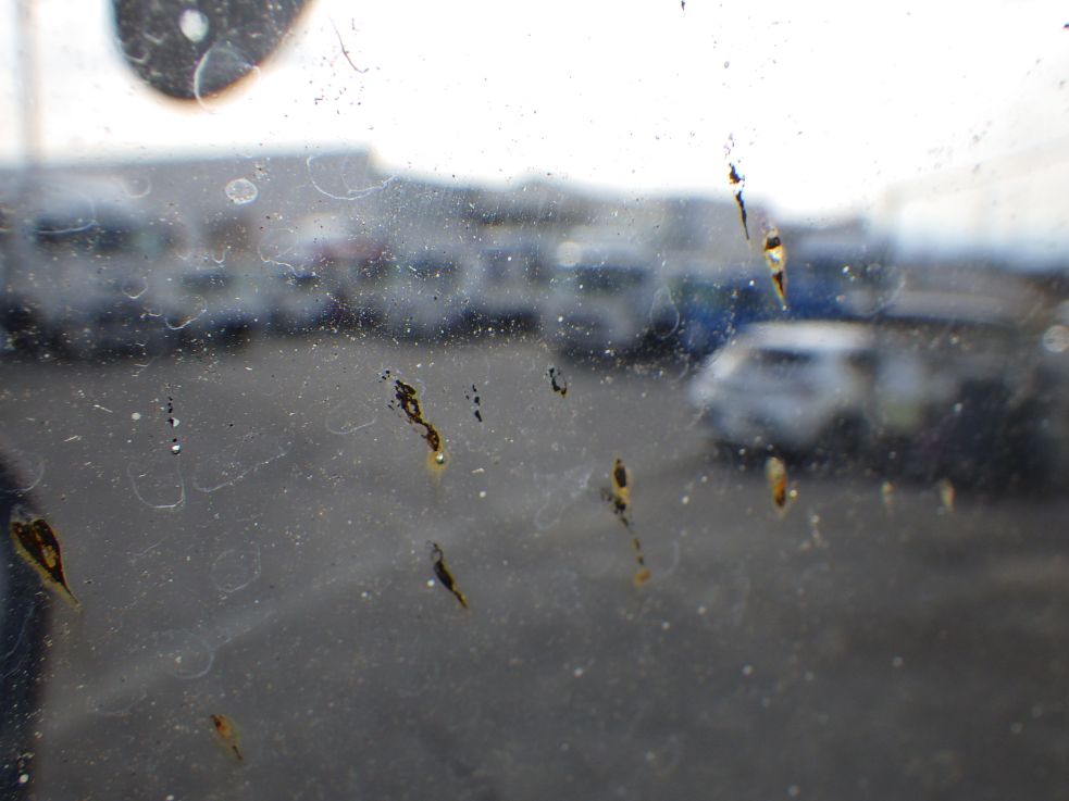 フロントガラスに溶接のトビキズがあります。|三菱 ファイター 2KG-FK71F(2WD)の写真16