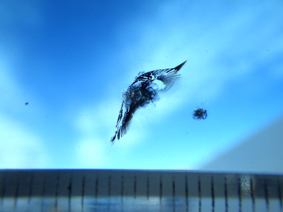 フロントガラスに飛び石キズがあります。|いすゞ ギガ QKG-CXZ77ATの写真14