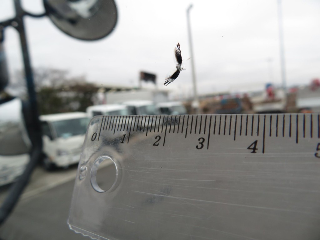 いすゞ ギガ 2PG-CYL77Cの写真11