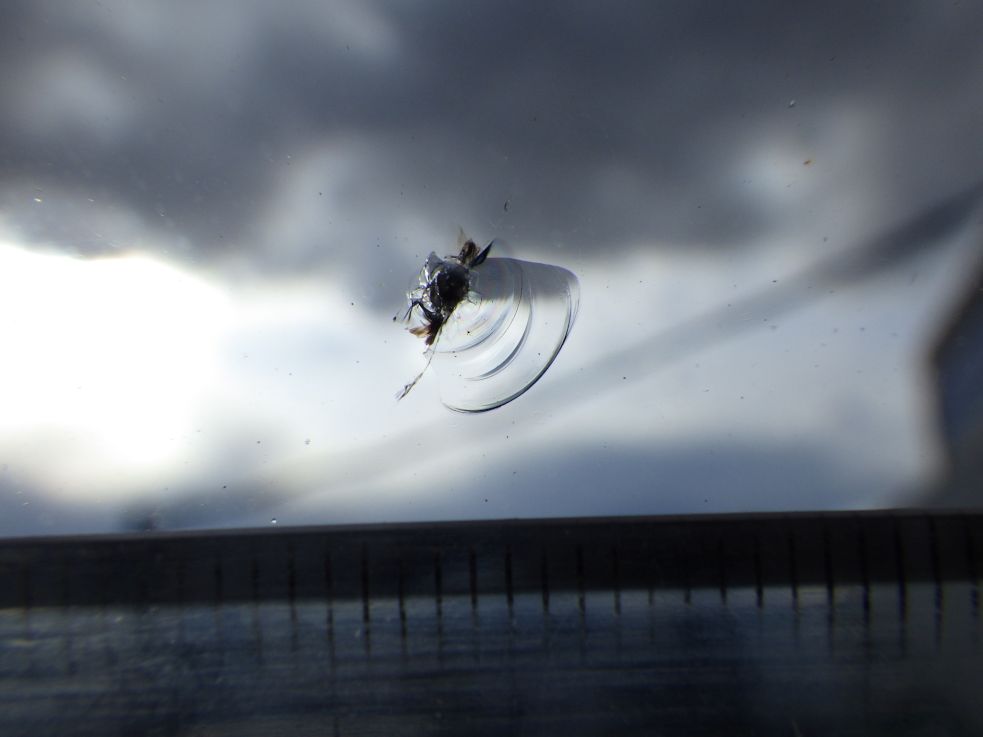 いすゞ フォワード KL-FSR33K4Rの写真18