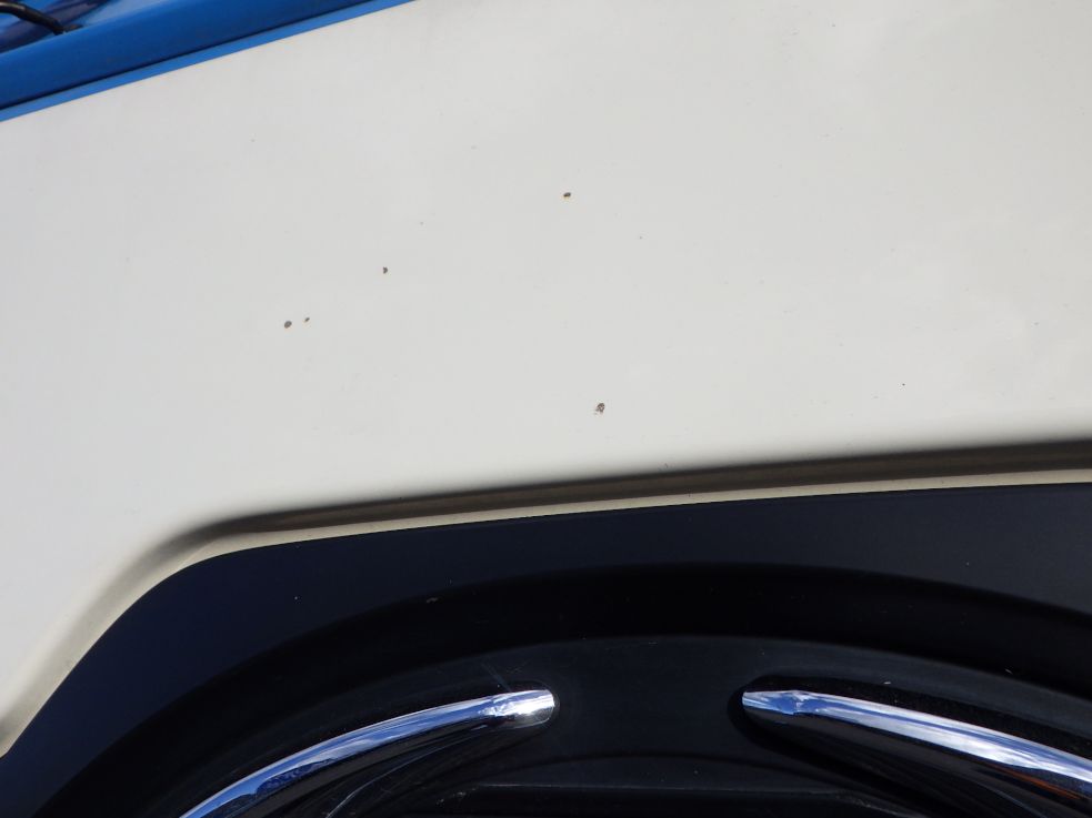 フロントパネルに飛び石キズがあります。|日野 プロフィア QPG-SH1EDDGの写真23