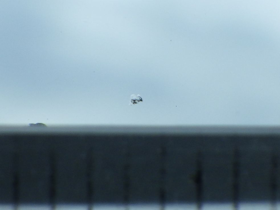 フロントガラスに針先キズがあります。|いすゞ エルフ TKG-NKR85AN(2WD)の写真12