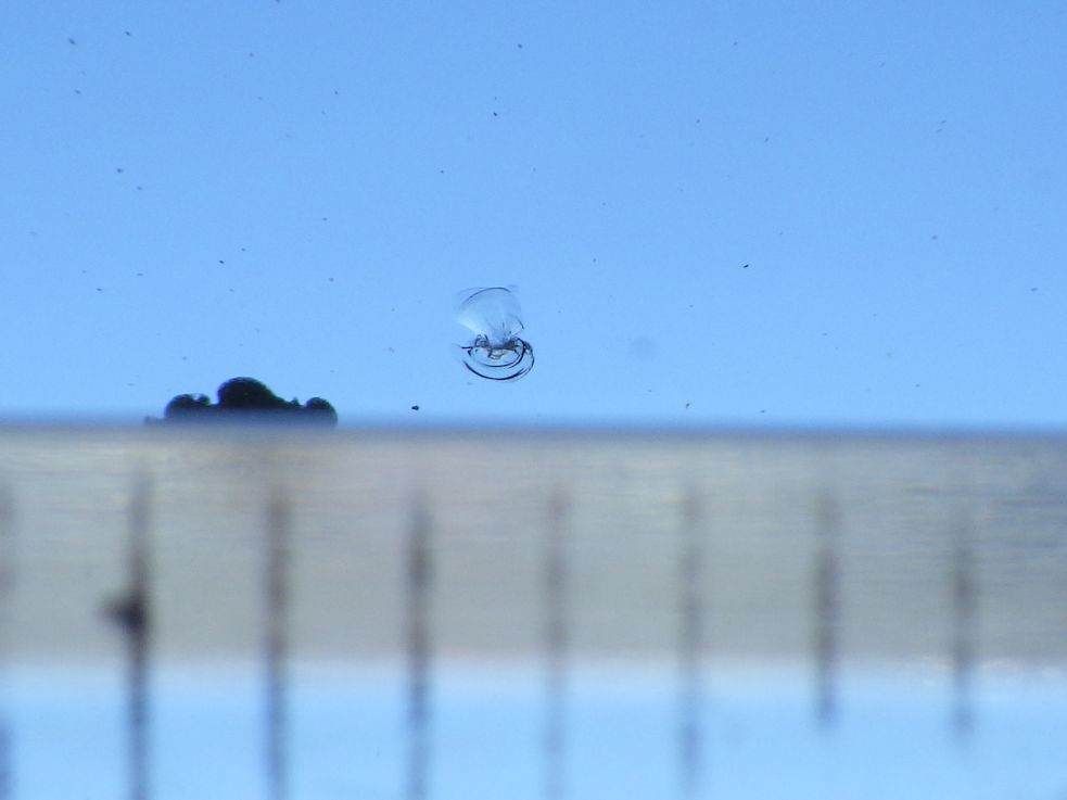 フロントガラスに小キズがあります。|三菱 キャンター TPG-FBA50(2WD)の写真18