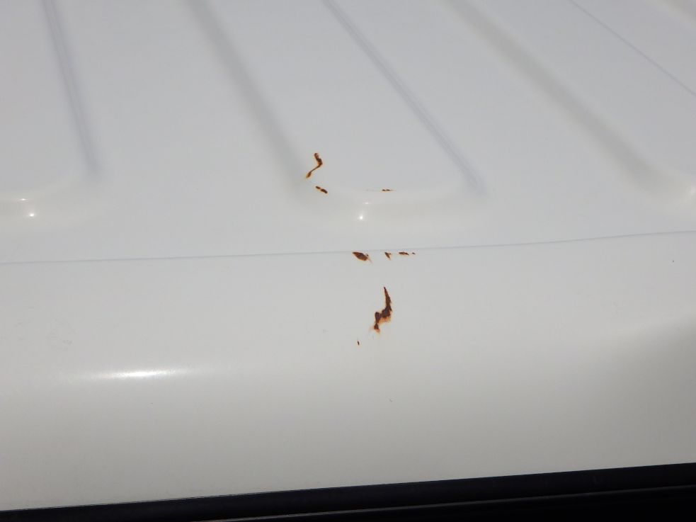 ルーフにキズ・サビがあります。|いすゞ エルフ 2RG-NNR88AR(2WD)の写真19