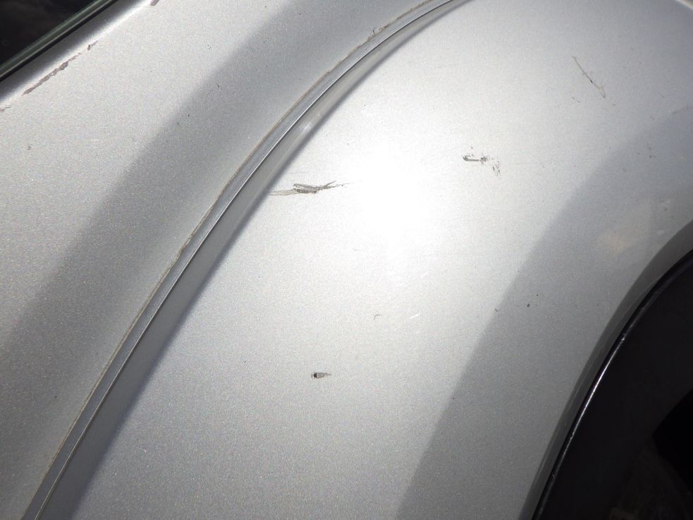 助手席側フェンダーにキズがあります。(運転席側にもあります)|いすゞ フォワード SKG-FRR90S2の写真20