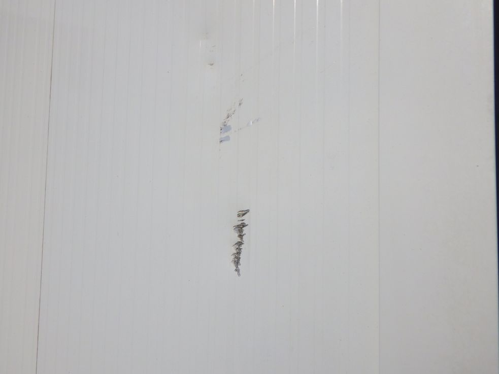 運転席側リヤ扉にキズ・ヘコミがあります。|いすゞ フォワード SKG-FRR90S2の写真39