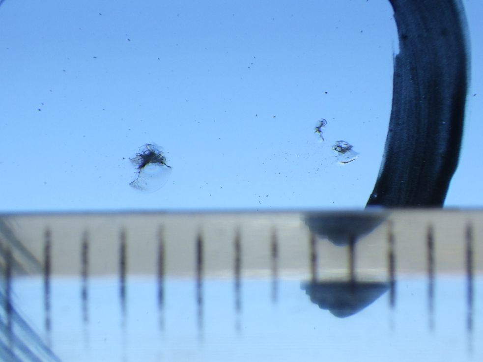 フロントガラスに小キズがあります。|三菱 キャンター TPG-FEB80(2WD)の写真16