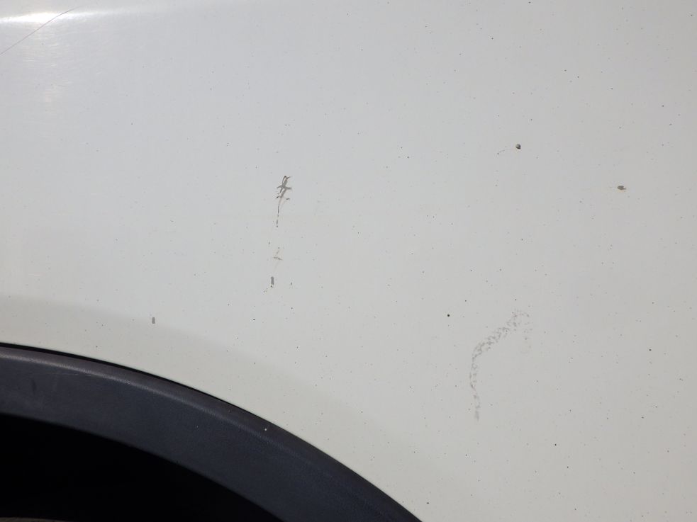 運転席側ドアにキズ・ヘコミがあります。|三菱 キャンター TPG-FBA60(2WD)の写真21