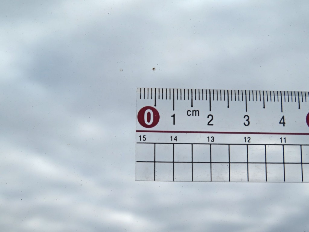 いすゞ フォワード PKG-FRR90S2(2WD)の写真20