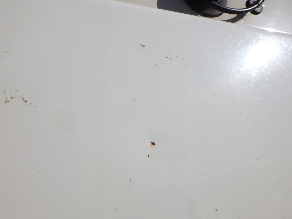 フロントパネルに飛び石キズがあります。|UDトラックス クオン 2PG-CG5CAの写真25