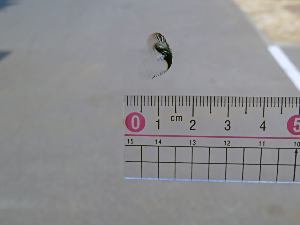 いすゞ フォワード 2PG-FRR90T2(2WD)の写真23